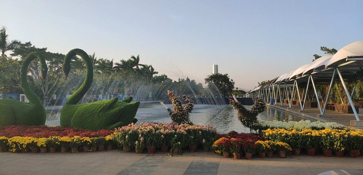 賞菊廈門園美苑，秋色如畫醉游人——記廈門園博苑菊花展