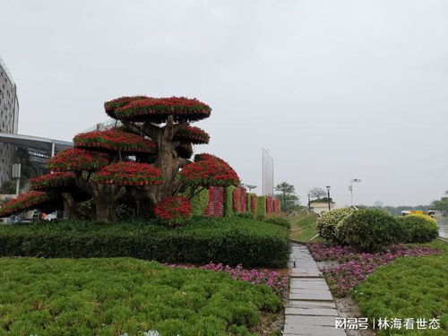 廈門園博苑風(fēng)雨突襲，游客行程泡湯